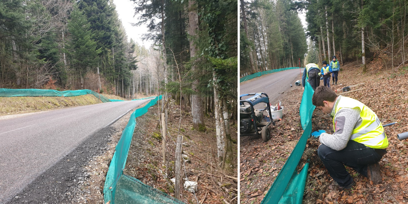 Démontage du dispositif de sauvetage routier des amphibiens à Le Bélieu
